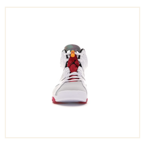 Air Jordan 6 Retro Hare (2020)