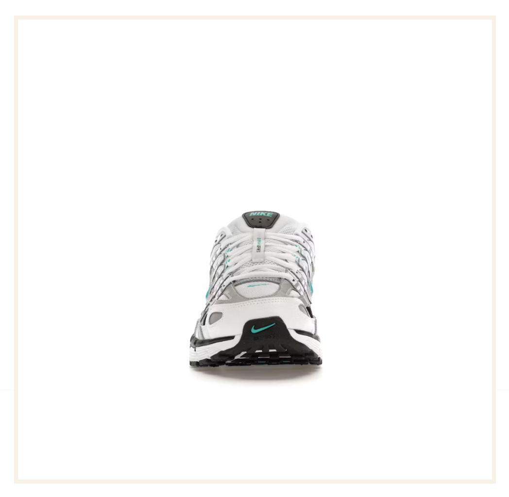 Nike P-6000 Dusty Cactus