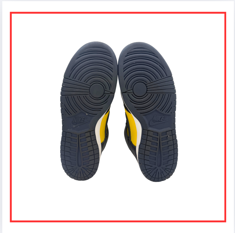 Nike Dunk High Michigan (Preloved) UK 8