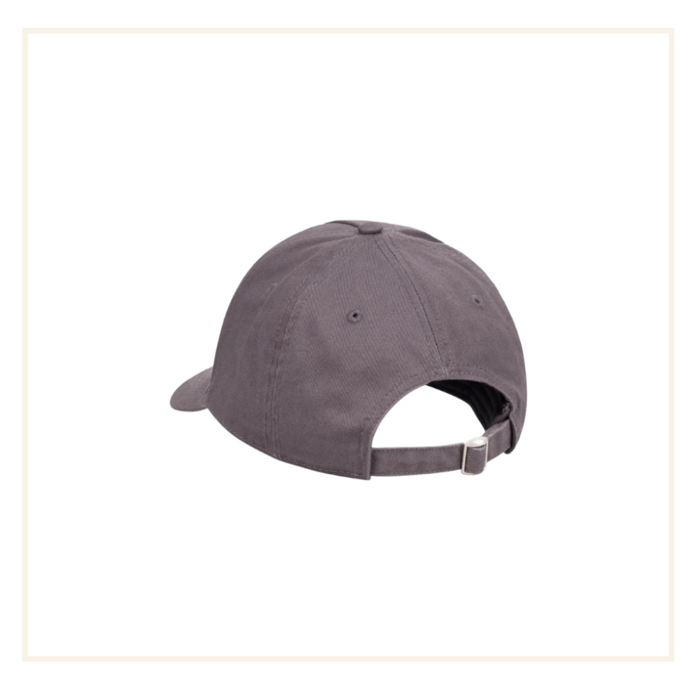 FullyPaid Dreams Grey Cap