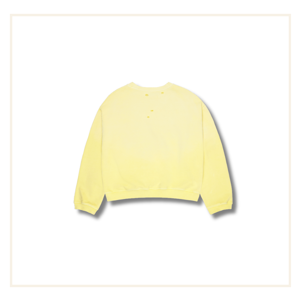 Broken Planet Star Logo Sunfaded Crewneck
