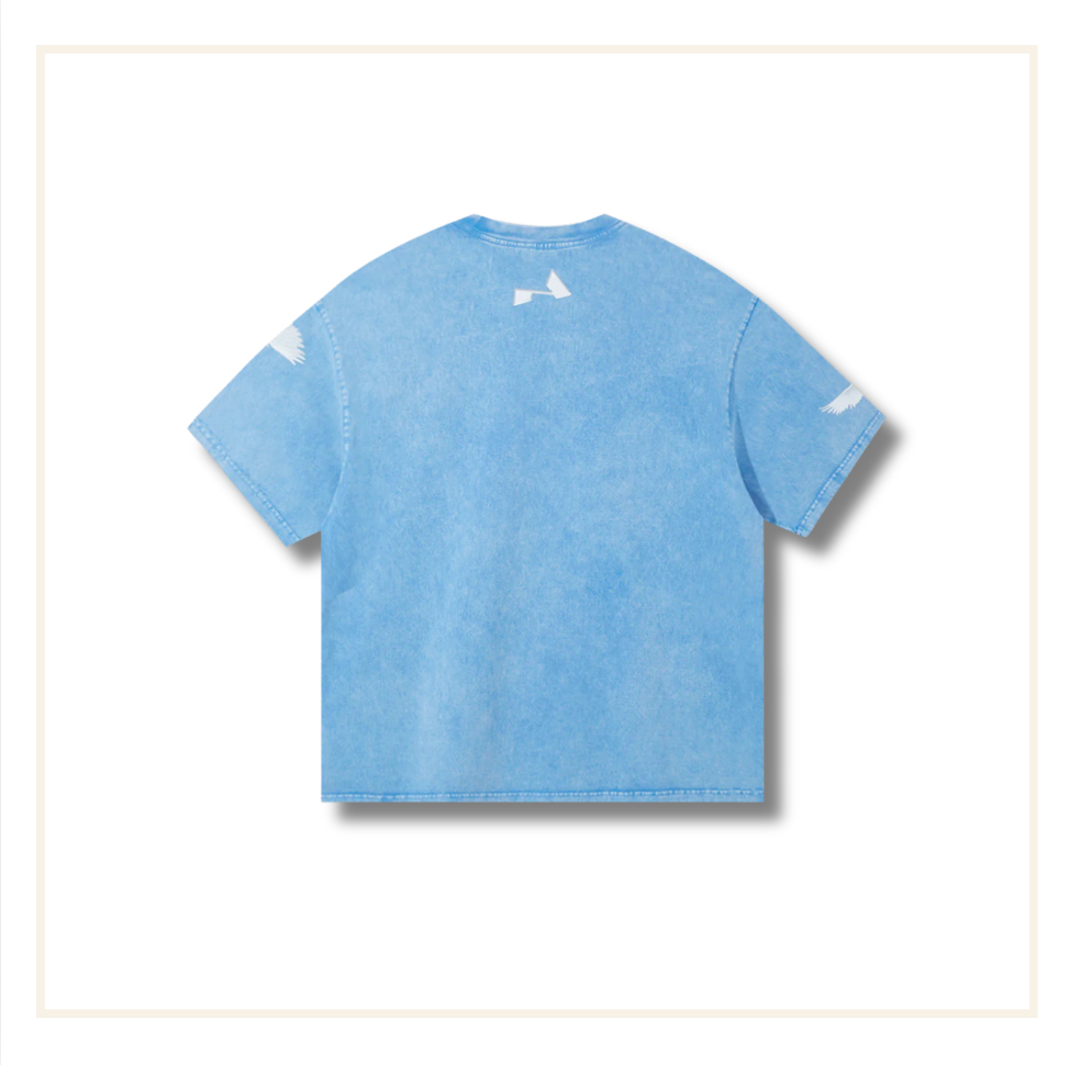 Noissey Black Madonna T-Shirt Washed Blue