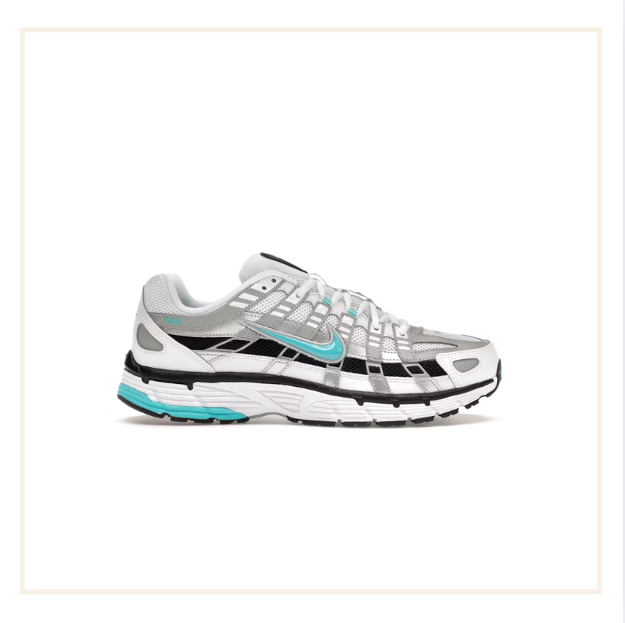 Nike P-6000 Dusty Cactus