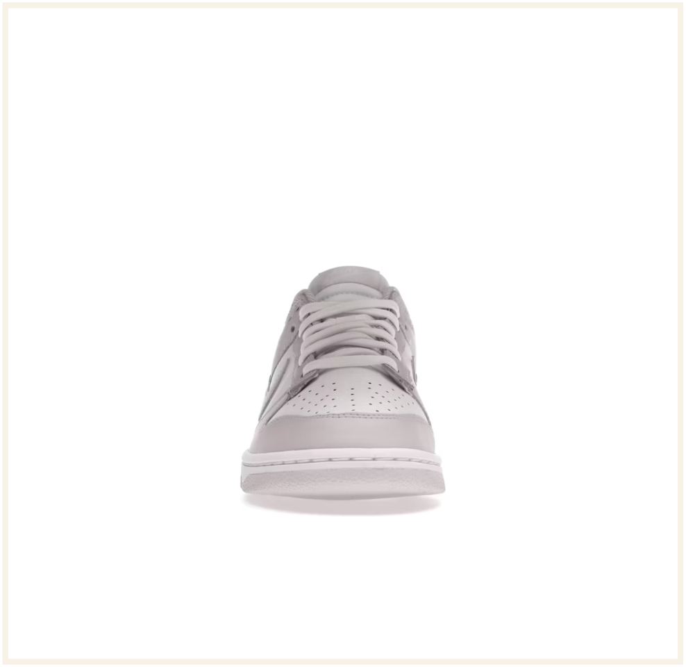 Nike Dunk Low Venice (W)
