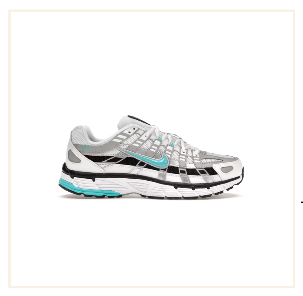 Nike P-6000 Dusty Cactus
