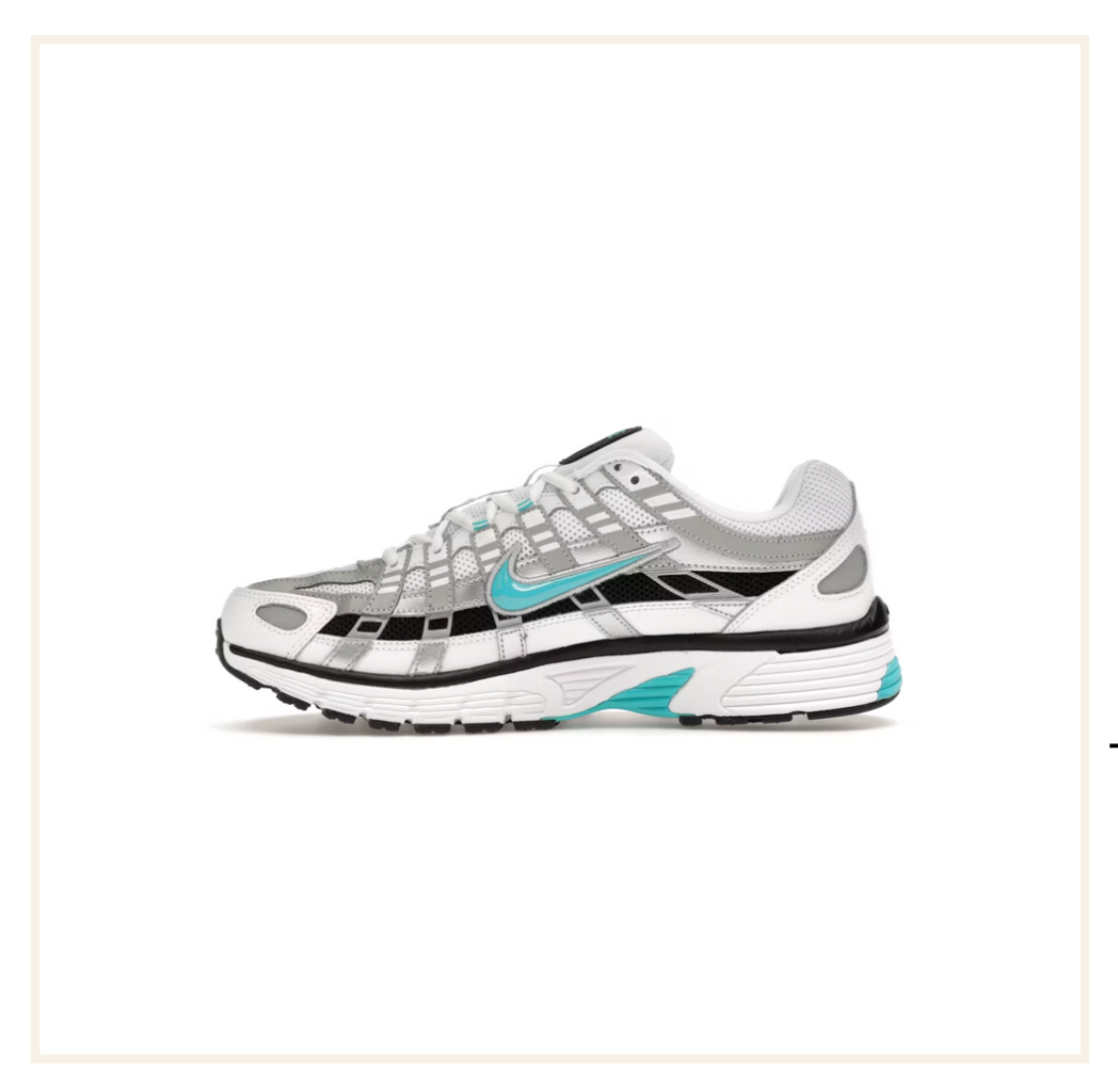 Nike P-6000 Dusty Cactus