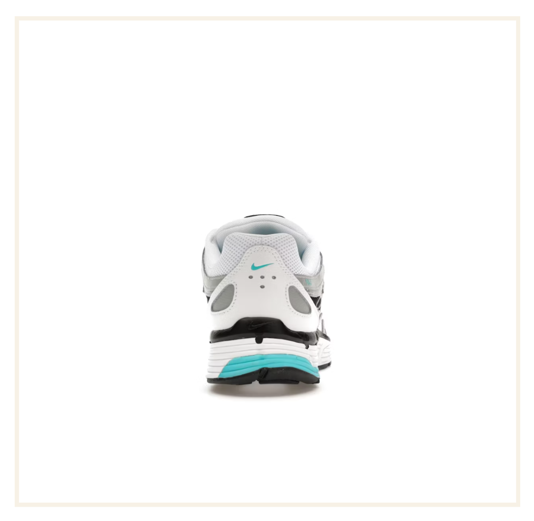 Nike P-6000 Dusty Cactus